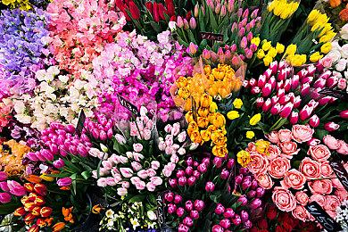 剧情驱动摄影冒险游戏《FOMOGRAPHY》本月底发售